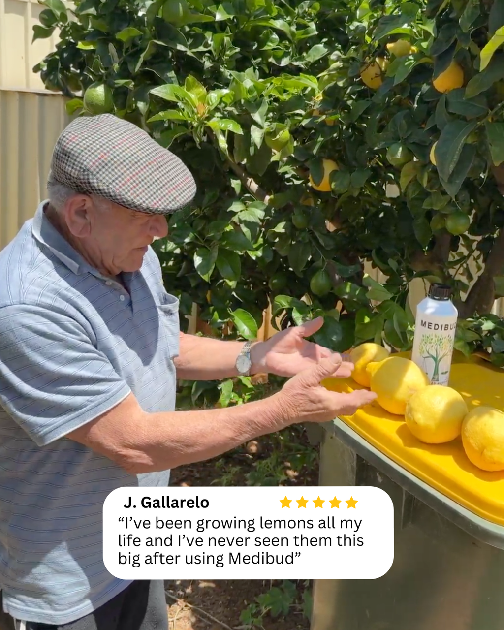 Medibud + Medigrow Bundle