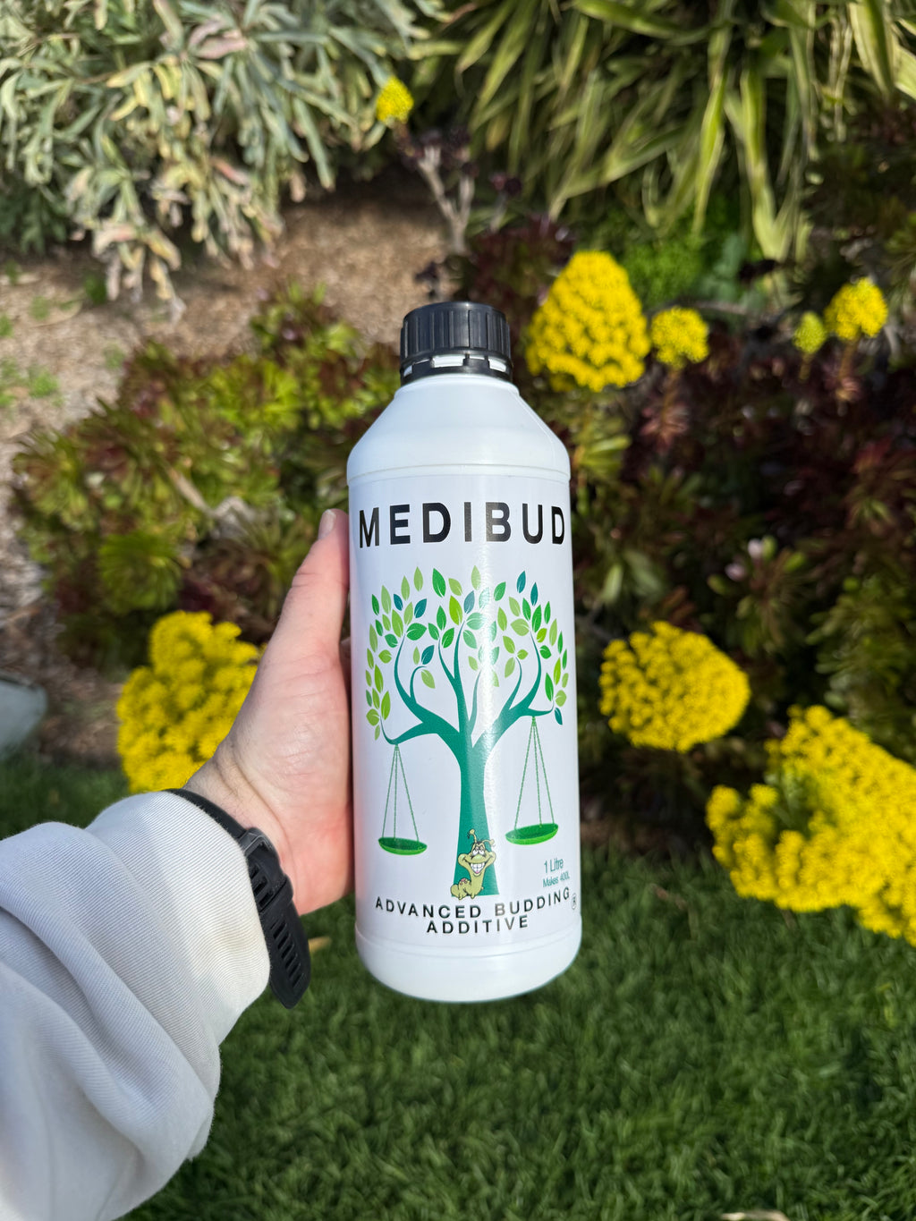 Medibud®