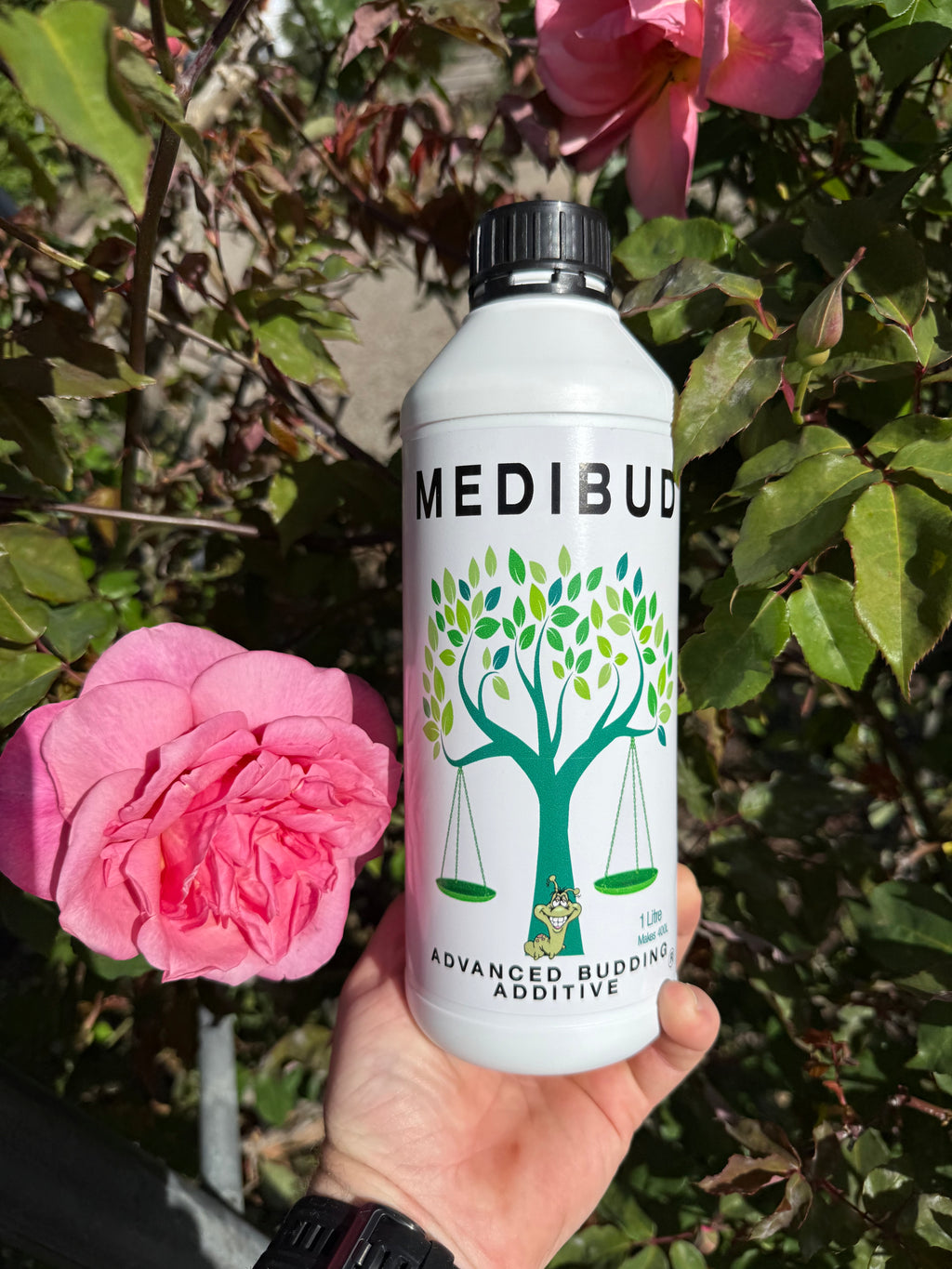 Medibud®