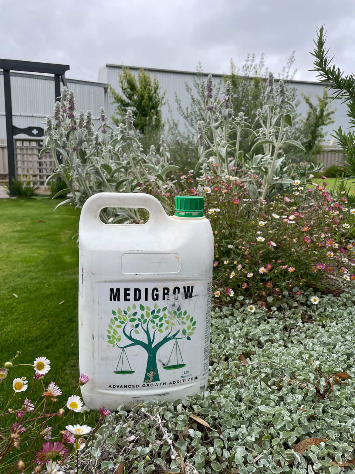 Medigrow®
