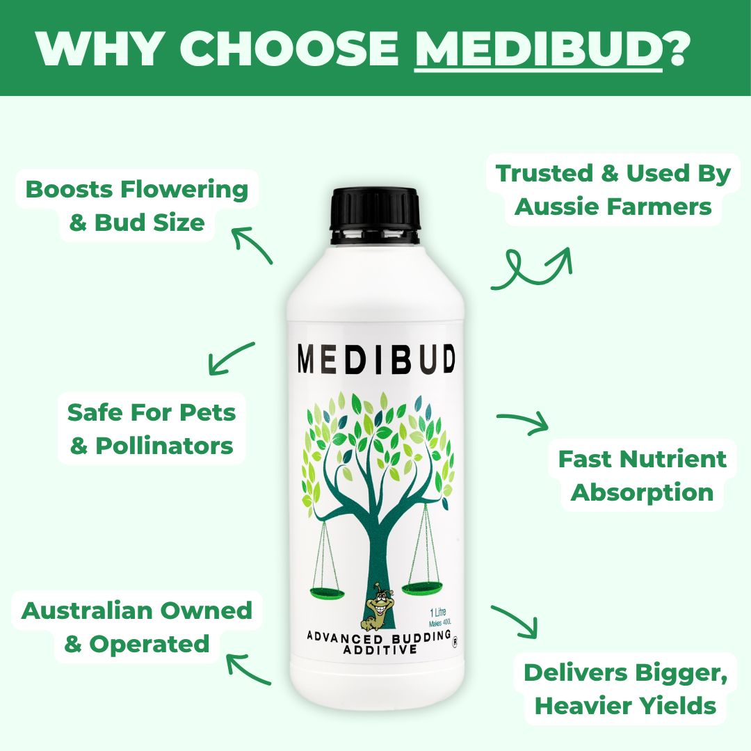 Medibud®