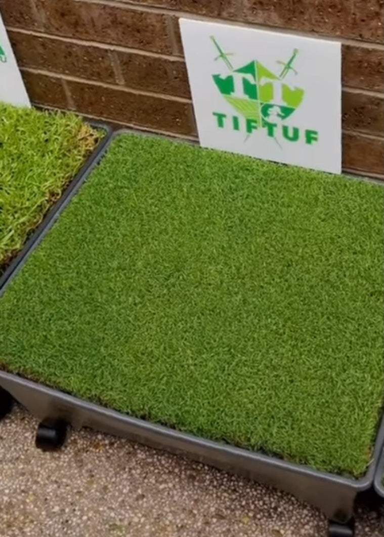 Medigrow