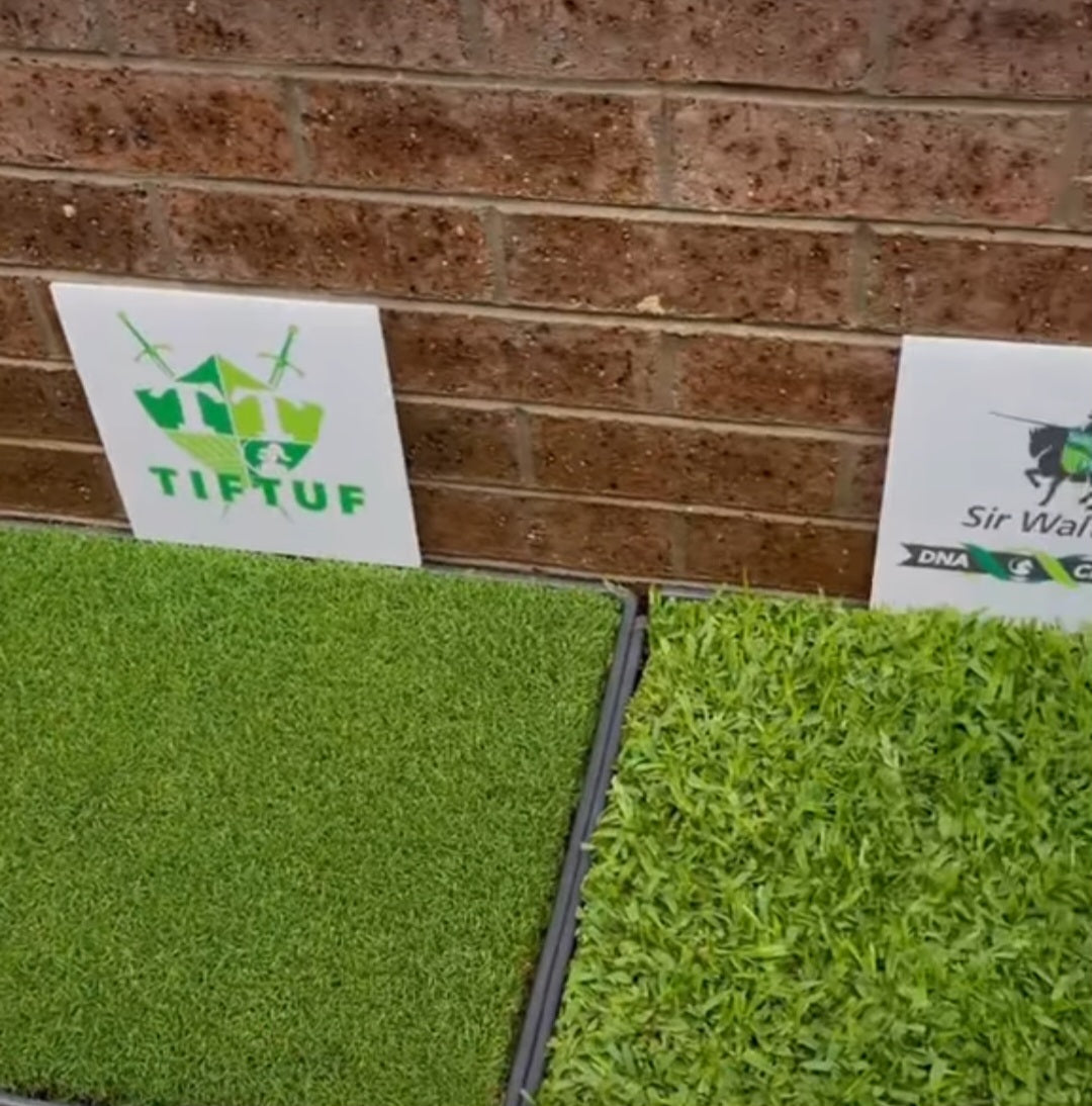 Medigrow