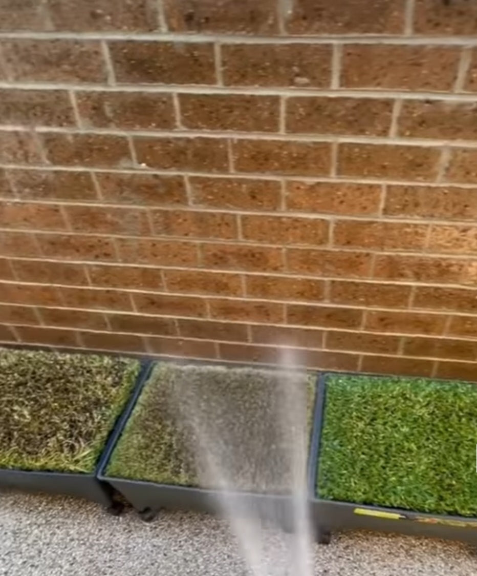 Medigrow
